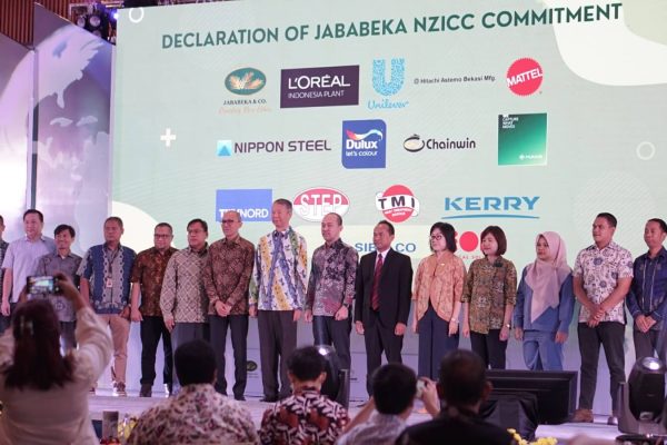 Pict. 2 - Declaration NZICC